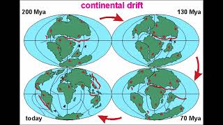 Alfred Wegeners Evidence of Continental Drift Theory [upl. by Legra]