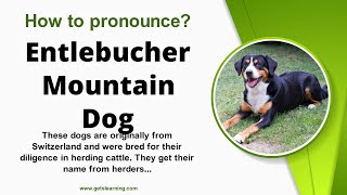 How to pronounce Entlebucher Mountain Dog in English Correctly [upl. by Cinelli]