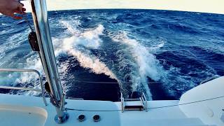 Lagoon 46 Catamaran Sailing 2600nm Ep2 [upl. by Sidra]