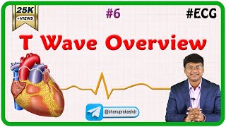 6 T Wave Overview  ECG assessment and ECG interpretation made easy [upl. by Chet]