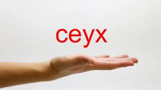 How to Pronounce ceyx  American English [upl. by Ingmar]