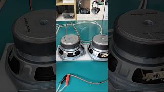 Speaker bass dual 5 inch midbass speaker [upl. by Wendelin]