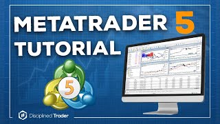 Complete MetaTrader 5 Tutorial For Beginners  2024 Edition [upl. by Braeunig]