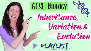 Inheritance Variation and Evolution GCSE Biology amp Combined Science 91 Playlist Thankyou [upl. by Chapell]