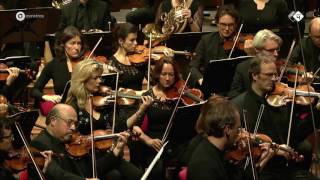 Wagner Der Ring des Nibelungen arr De Vlieger  Radio Filharmonisch Orkest  Live concert HD [upl. by Ahsinik]