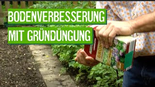 Gründüngung für das Beet im eigenen Garten  Der Grüne Tipp kompakt [upl. by Kan302]