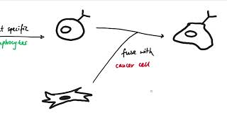 AQA GCSE  B6 Preventing and treating diseases OVERVIEW [upl. by Hirai779]