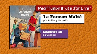 🔴📙🔊 Le Faucon Malté 18  Dans le bain  Livre Audio [upl. by Feigin]