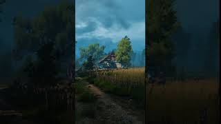 The Witcher 3 Thunder amp Countryside ambience witcher atmosphere CDPROJEKTRED [upl. by Ennovahs]