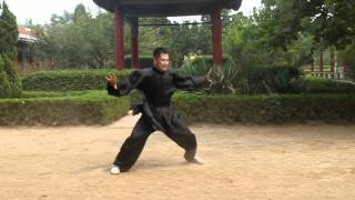 An Wushu  Baji Quan [upl. by Odlanra]