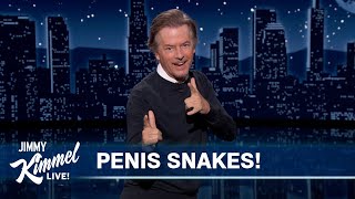 Guest Host David Spade on Terrible Clickbait Penis Snakes amp Being Too Old for TikTok [upl. by Yennek244]