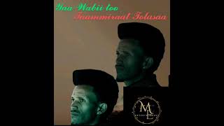 Taammiraat Tolasaa quotYaa Marii tooquot Best New Oromoo Music 2024 [upl. by Sutsugua]