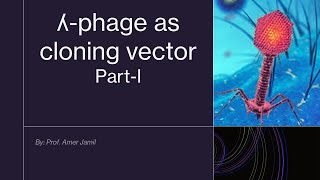 Lambda phage as cloning vector part I Recording [upl. by Aihsiek244]