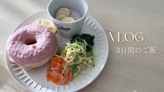 3日間のご飯🥢｜ミスドでクリスマスを感じる🎄🍩｜色々食べたい時はワンプレートが1番🍽 [upl. by Doherty]