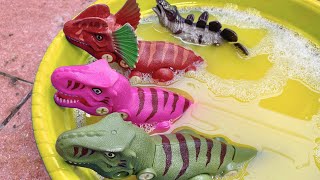 Dinosaurus Bermain di Kolam Lumpur Kuning  Trex Dilophosaurus Triceratops Spinosaurus Stegosaurus [upl. by Asennav]