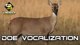 Doe Vocalizations [upl. by Nymzaj]