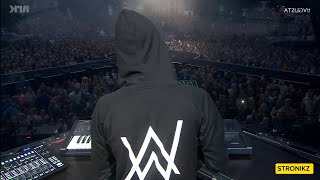 Alan Walker amp La Oreja De Van Gogh  Rosas Remix STRONIKZ 2024 [upl. by Yle]