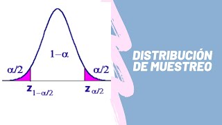 Distribuciones Fundamentales de Muestreo [upl. by Ahsitniuq294]