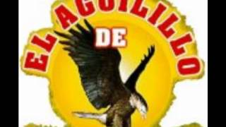 EL AGUILILLO DE TIERRA CALIENTE  LAS EDADES [upl. by Gnuh]