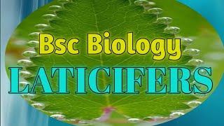 Laticifers Plant Tissue  Bsc Biology  Lectures23 biology tissue debasish debasishsir latica [upl. by Letsyrk670]