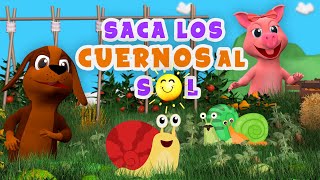 Caracol col col 🐌🌞 ¡Saca los cuernos al sol 🐌🌞 ¡En el Reino de Lili 🌈 [upl. by Finella]