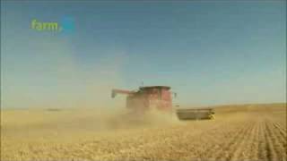 CASE IH 8010 Combine [upl. by Fridlund399]