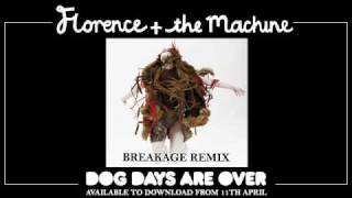 Florence and the Machine  Dog Days Are Over Breakage Remix [upl. by Ditter]