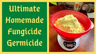 Worlds Strongest Natural Fungicide  Say Goodbye To Plant Diseases  How To Make JADAM Sulfur [upl. by Huey]