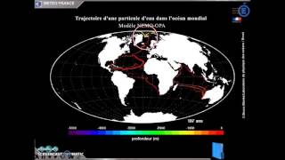 La circulation océanique [upl. by Nylecaj347]
