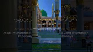 Surah Al Baqarah Last 2 Ayat Beautiful RecitationSurah Baqarah ki Aakhri 2 Ayatمشاري بن راشد [upl. by Emmie981]