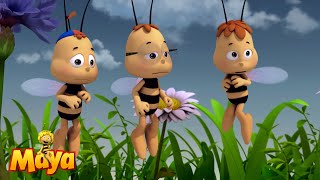 Thieving wasps  Maya the Bee🐝🍯🐝 [upl. by Cal]