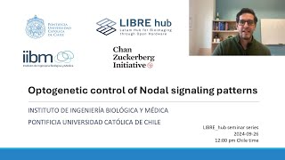 Optogenetic control of Nodal signaling patterns  Seminario by Nathan Lord [upl. by Otes]