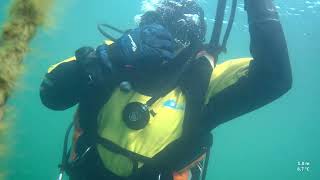 Open water training in Gildenburgh Waters with a large pike hanging out inside the double decker bus [upl. by Cousins691]