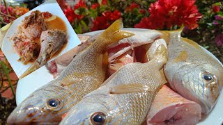 COURT BOUILLON MARTINIQUE LOCAL FOOD [upl. by Gustin]