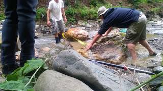 How to move large rocks 2 come alongs full video soon [upl. by Nalloh795]