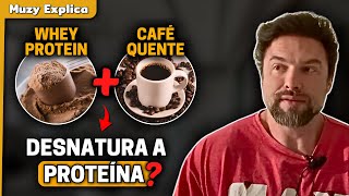 POSSO COLOCAR WHEY PROTEIN NO CAFÉ  Muzy Explica [upl. by Xino]