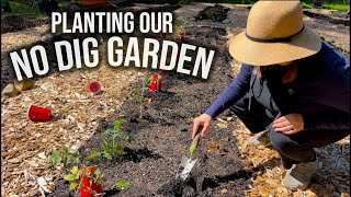 PLANTING OUR NO DIG GARDEN  TOMATOES CORN LOOFAH PEAS BEANS amp MORE [upl. by Adis]