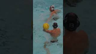 Mens Water Polo Senior Day vs Brown Recap  November 4 2023 [upl. by Clarabelle728]