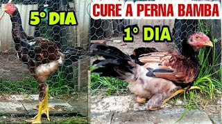 CURE A PERNA BAMBA EM 5 DIAS 1°DIA [upl. by Eikin]