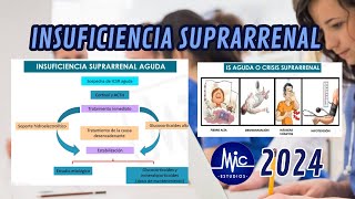 RM 24 Endocrino  Insuficiencia Suprarrenal Causas diagnóstico tratamiento Est MyC [upl. by Sheng]