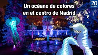 Un jardín de luces en el centro de Madrid viaja por un océano de colores con NaturalezaEncendida [upl. by Navonoj]