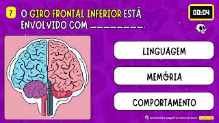 Quiz de Anatomia  Giros e Sulcos cerebrais [upl. by Whiney205]