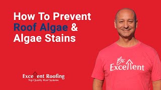 How to Prevent Roof Algae amp Algae Stains [upl. by Caundra]