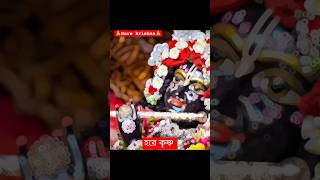 harekrishna krishna krishnastatus radhakrishna radha radheradhe radhakrishn radharani shortvideos [upl. by Nolham]