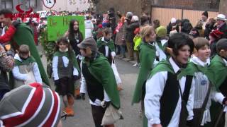 Malsch Impressionen vom Fasnachtsumzug 2015 [upl. by Lorry]