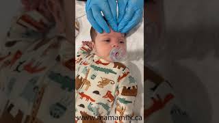 craniosacral therapy on baby [upl. by Yrrem]