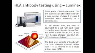 Immunological assissment of KTX [upl. by Aerdnat]