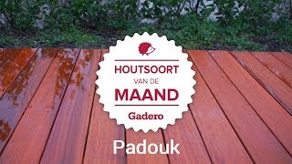 Houtsoort van de Maand  Februari  Padouk [upl. by Bevvy]