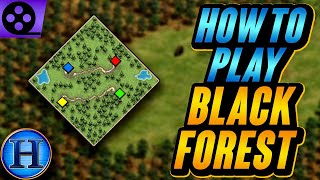 How To Play Black Forest  AoE2 [upl. by Aihseym101]