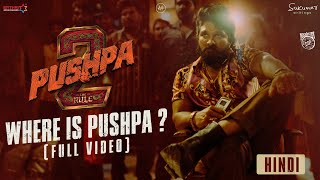 Pushpa 2 Trailer Date  New Villain Cameo  Deeksha Sharma [upl. by Yate]